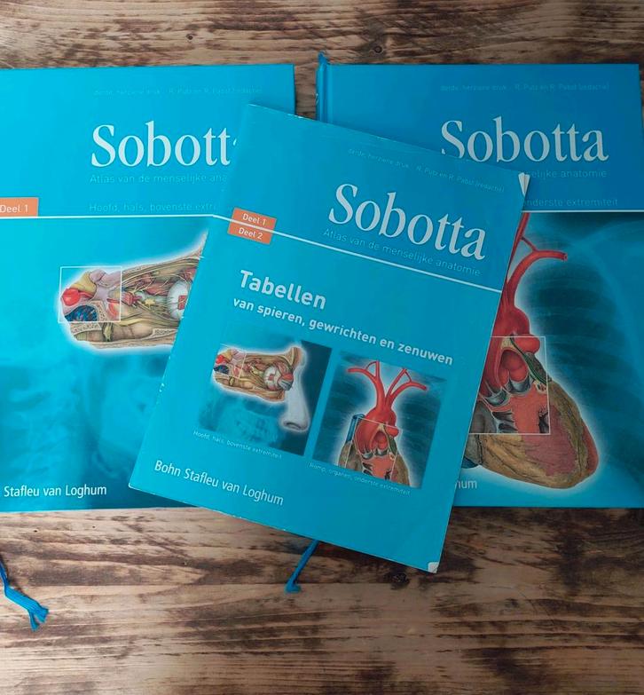 Sobotta deel 1, deel 2 en tabellen, Boeken, Studieboeken en Cursussen, Zo goed als nieuw, Beta, Ophalen of Verzenden