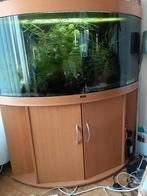 Juwel hoek aquarium 350 liter, Ophalen, Gebruikt, Leeg aquarium