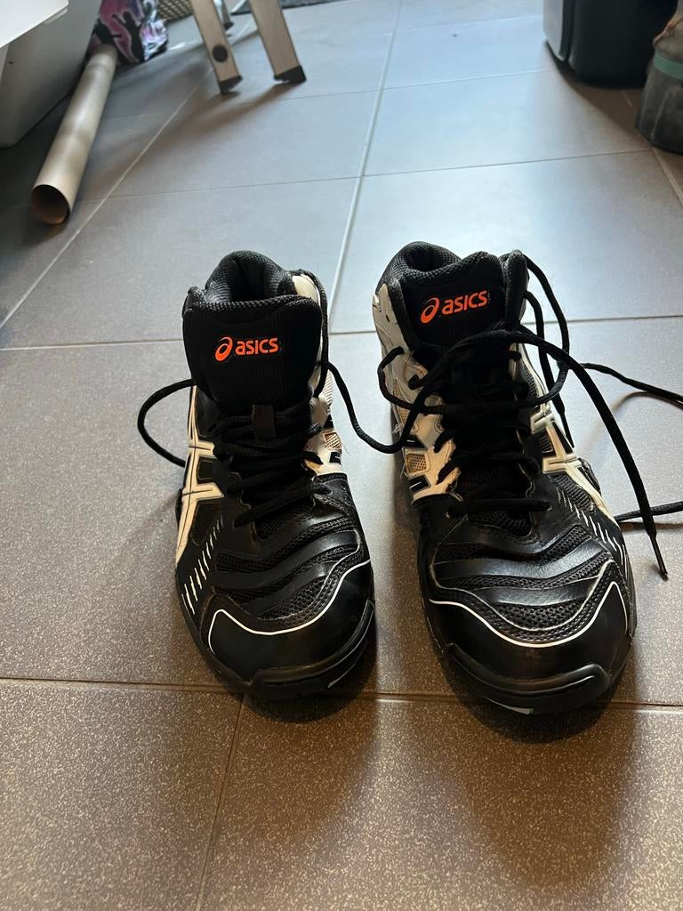 Asics zaalschoenen maat 41,5, Sport en Fitness, Korfbal, Ophalen of Verzenden, Gebruikt, Schoenen