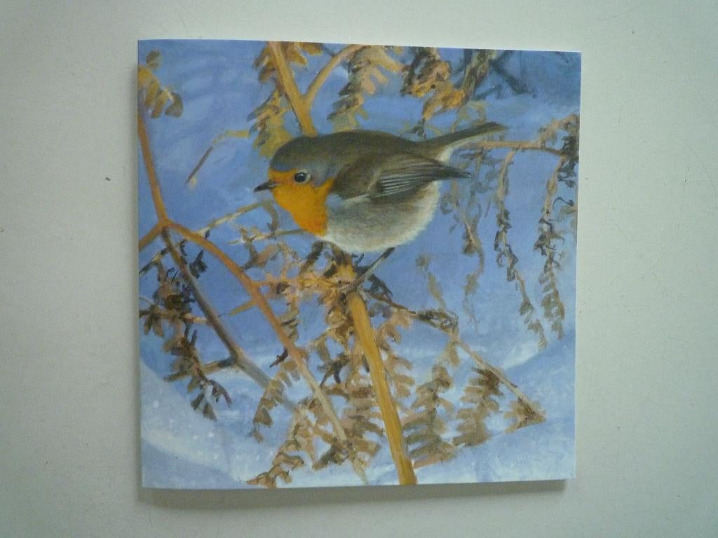 Roodborstje vogel in de winter door Elwin van der Kolk kunst, Verzamelen, Ophalen of Verzenden, 1980 tot heden, Hond of Kat