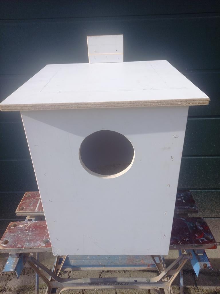 Bos uil kast, Ophalen, Hout, Vogelkooi