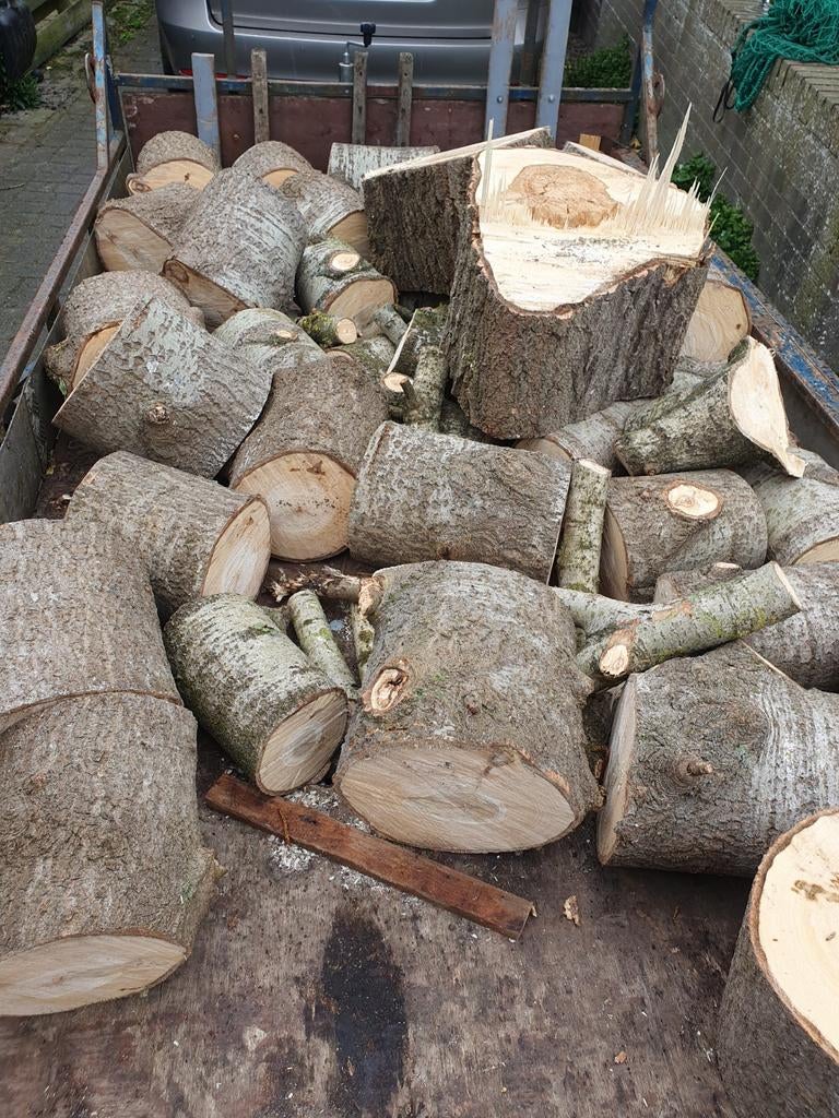 Ongekloofd populier, Tuin en Terras, Haardhout, Minder dan 3 m³, Ophalen