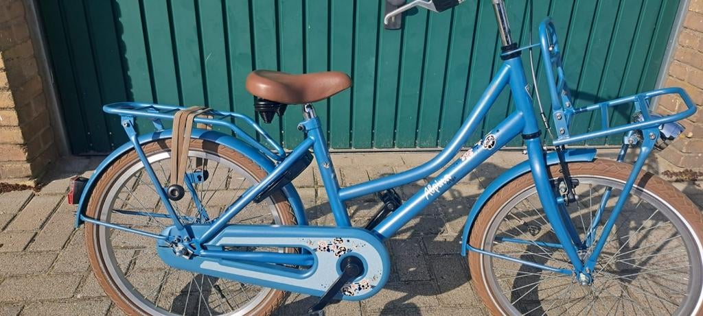 Alpina Cargo 20 inch izgs, Fietsen en Brommers, Fietsen | Meisjes, Ophalen, Alpina, 20 inch, Handrem
