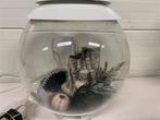 A7230. Biorb aquarium, 30L, incl. toebehoren, Dieren en Toebehoren, Vis