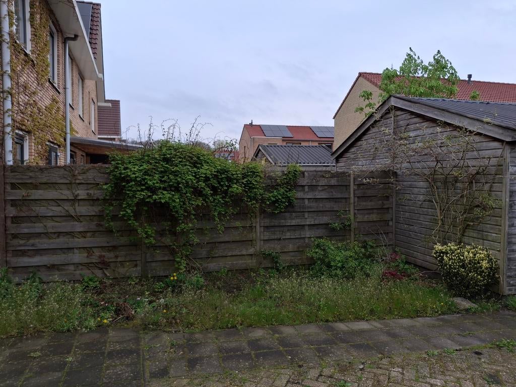 Gratis af te halen. Planten/bomen voor in de tuin., Ophalen of Verzenden, Volle zon, Overige soorten