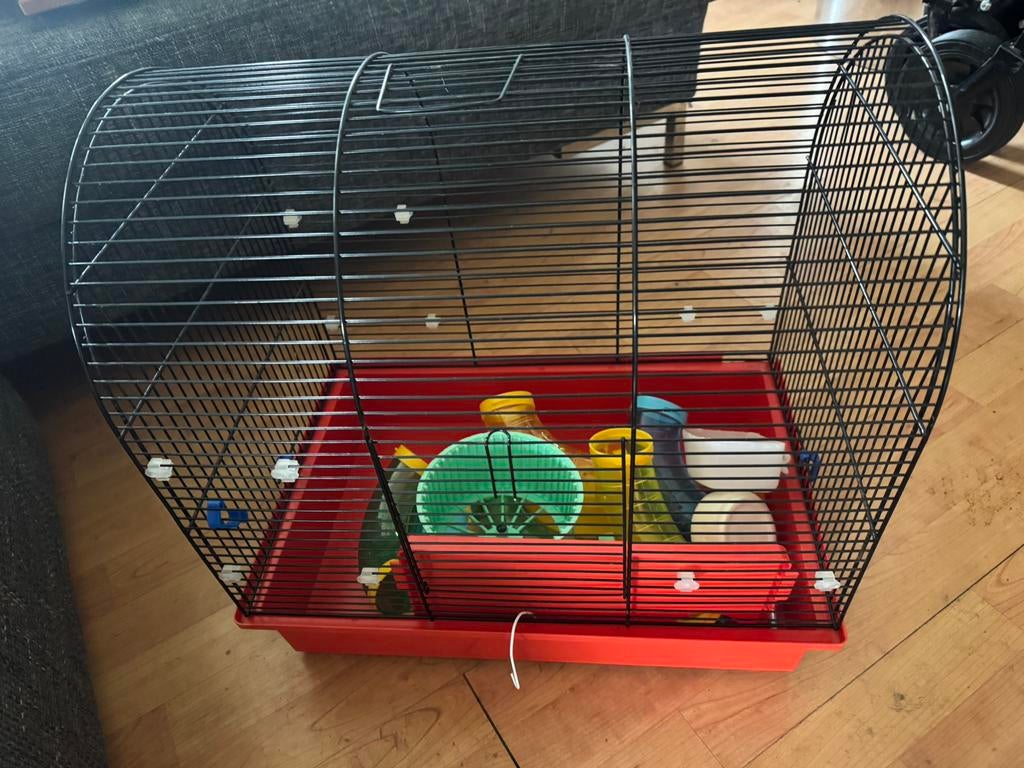Hamsterkooi, Minder dan 60 cm, Kooi, Minder dan 75 cm, Ophalen of Verzenden