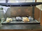 Aquarium 60x30x30 cm. Krasvrij en waterdicht. Inclusief..., Ophalen, Leeg aquarium