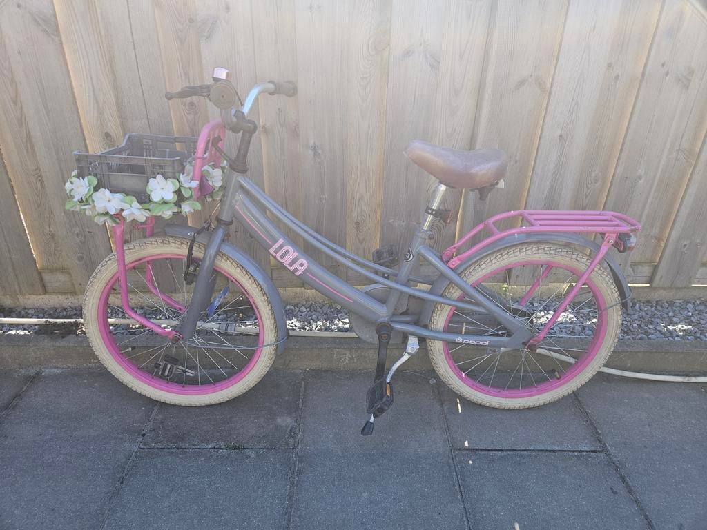 Kinderfiets 20 inch, Fietsen en Brommers, Ophalen of Verzenden, Gebruikt, Terugtraprem, 20 inch of meer