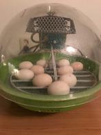 Klein broedpakket te huur, broedmachine Fiem en Schouwlamp, Dieren en Toebehoren, Pluimvee | Toebehoren, Ophalen, Zo goed als nieuw