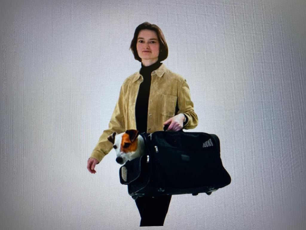 Honden reiskoffer Nieuw, Dieren en Toebehoren, Ophalen of Verzenden