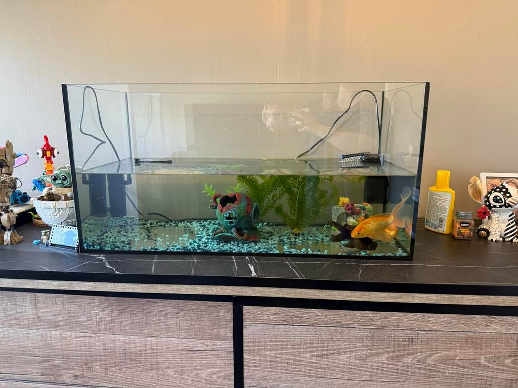 Aquarium bak 80cm, Ophalen, Zo goed als nieuw, Leeg aquarium, Overige merken