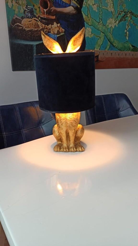 lamp, Ophalen, Minder dan 50 cm