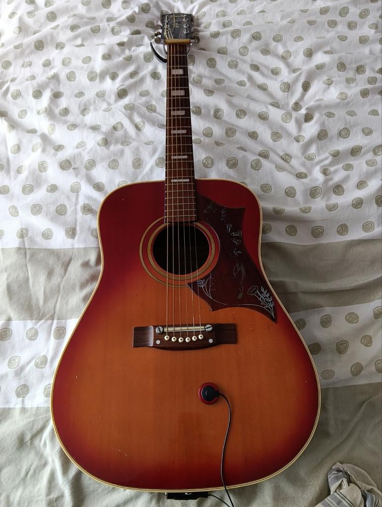 Terada Akoestische Gitaar - Vintage Western Model, Muziek en Instrumenten, Ophalen, Gebruikt, Western- of Steelstringgitaar