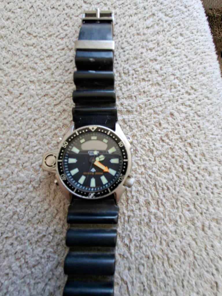 Citizen Promaster horloge, Ophalen, Staal, Citizen