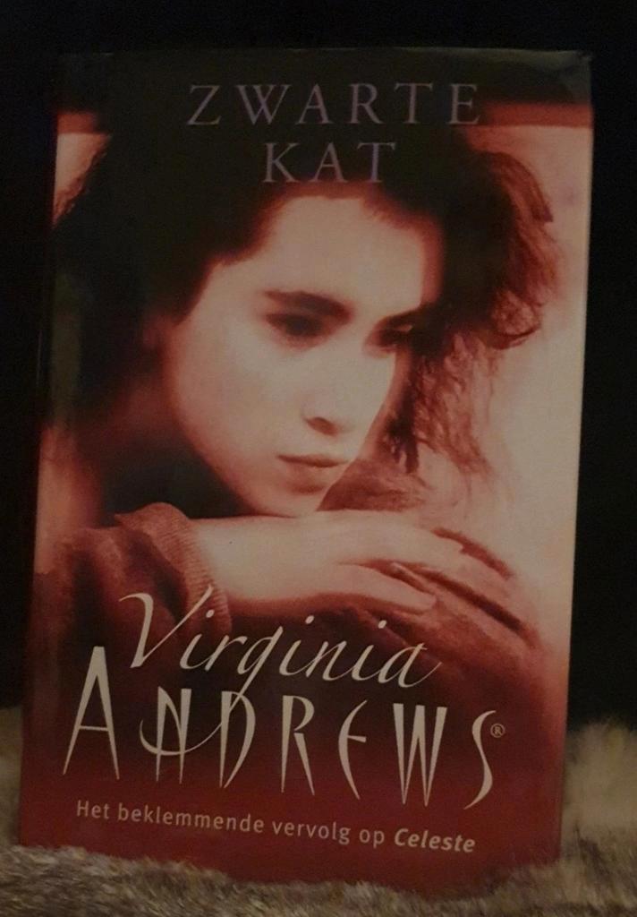 Zwarte Kat - Virginia Andrews (Het beklemende vervolg), Boeken, Romans, Gelezen, Nederland, Ophalen of Verzenden