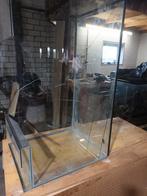 Terrarium, eurostyle, Dieren en Toebehoren, Reptielen en Amfibieën | Toebehoren, Ophalen, Gebruikt, Terrarium of Paludarium