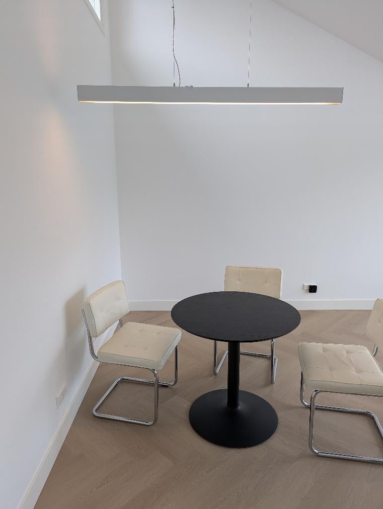 Design hanglamp lineaire verlichting, Ophalen, Gebruikt, Design, Minder dan 50 cm