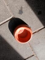 Eetbak konijn, Ophalen