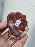 Plak van versteend hout, Ophalen of Verzenden, Mineraal