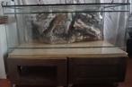 Terrarium 125x50x50 met mooie achterwand (incl. inrichting), Dieren en Toebehoren, Reptielen en Amfibieën | Toebehoren, Ophalen