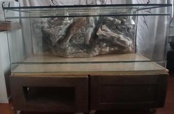 Terrarium 125x50x50 met mooie achterwand (incl. inrichting) beschikbaar voor biedingen