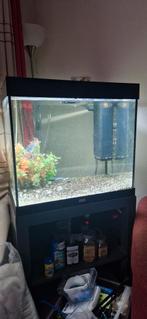 Juwel Lido 200! Incl kast en heel veel  extra's 71x65x51., Dieren en Toebehoren, Vissen | Aquaria en Toebehoren, Ophalen, Zo goed als nieuw