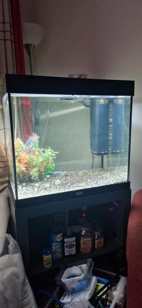 Juwel Lido 200! Incl kast en heel veel  extra's 71x65x51., Dieren en Toebehoren, Vissen | Aquaria en Toebehoren, Zo goed als nieuw