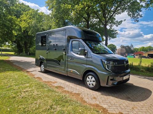 New model 2025 Renault Master! Pro-Safety stallion layout, Dieren en Toebehoren, Paarden en Pony's | Trailers en Aanhangwagens