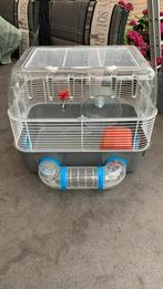 Hamster kooi, Minder dan 60 cm, Kooi, Minder dan 75 cm, Ophalen of Verzenden