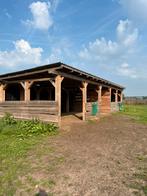 Eigen beheer/ pensionstalling Gardern/Uddel Veluwe, Dieren en Toebehoren, Stalling en Weidegang