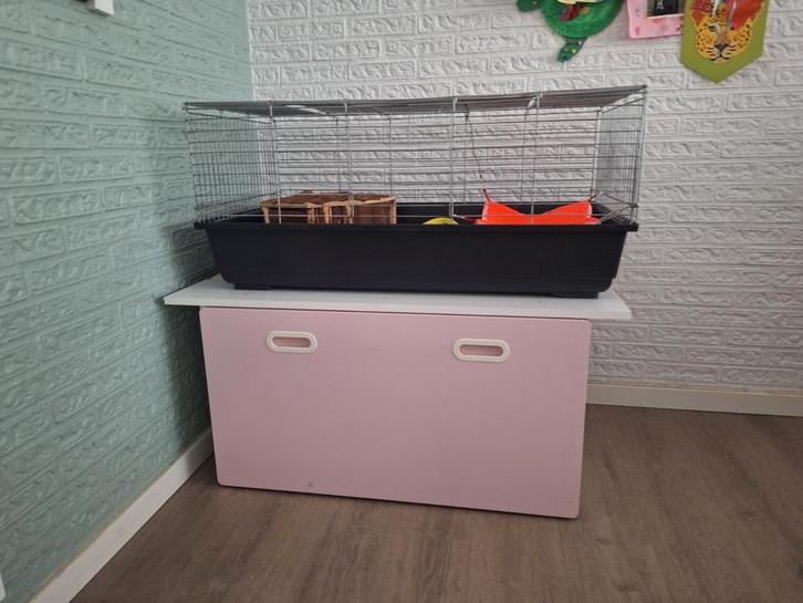 Caviakooi of konijnenkooi met onderkast, Dieren en Toebehoren, Knaagdieren en Konijnen | Hokken en Kooien, Gebruikt, Kooi, Minder dan 60 cm