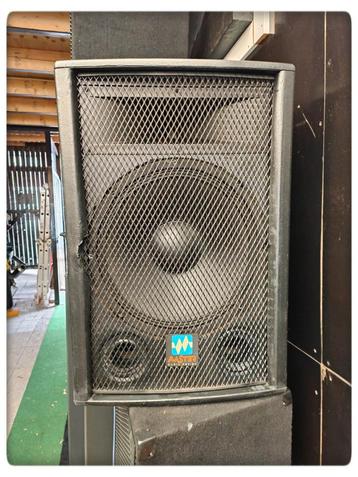 🎸🎤🎧Master speaker. 15 inch. 250 Watts RMS. beschikbaar voor biedingen