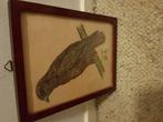 Getekende roofvogel., Ophalen, Minder dan 50 cm, Zo goed als nieuw, Minder dan 50 cm
