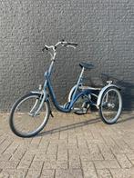 Vaan Raam Maxi driewielfiets (niet elektrisch), Ophalen, Gebruikt, Van Raam