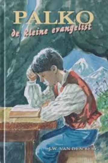 Palko de kleine evangelist J.W. van den Berg 9789033118128  beschikbaar voor biedingen