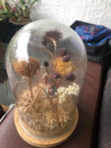 leuke  decoratie  voor  tuintafel--in serre  --of huiskamer beschikbaar voor biedingen