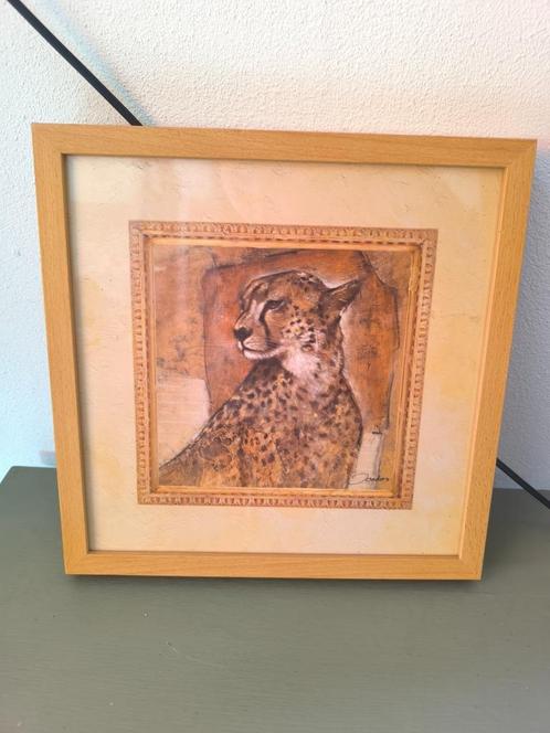 Joadoor Wildlife Cheetah, print, Framed, Antiek en Kunst, Kunst | Tekeningen en Foto's, Ophalen of Verzenden
