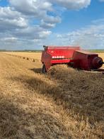 Kleine pakjes stro, Meerdere dieren, Schaap