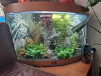 Groot hoekaquarium, Dieren en Toebehoren, Vissen | Aquaria en Toebehoren, Ophalen of Verzenden, Zo goed als nieuw, Plant(en), Steen of Hout