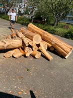 Geschild kachehout. Ca 4 kuub. Nog 2 kuub beschikbaar., Tuin en Terras, Haardhout, 3 tot 6 m³, Ophalen of Verzenden, Overige houtsoorten