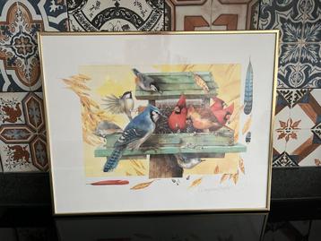 Marjolein Bastin Tekening - Vogels beschikbaar voor biedingen