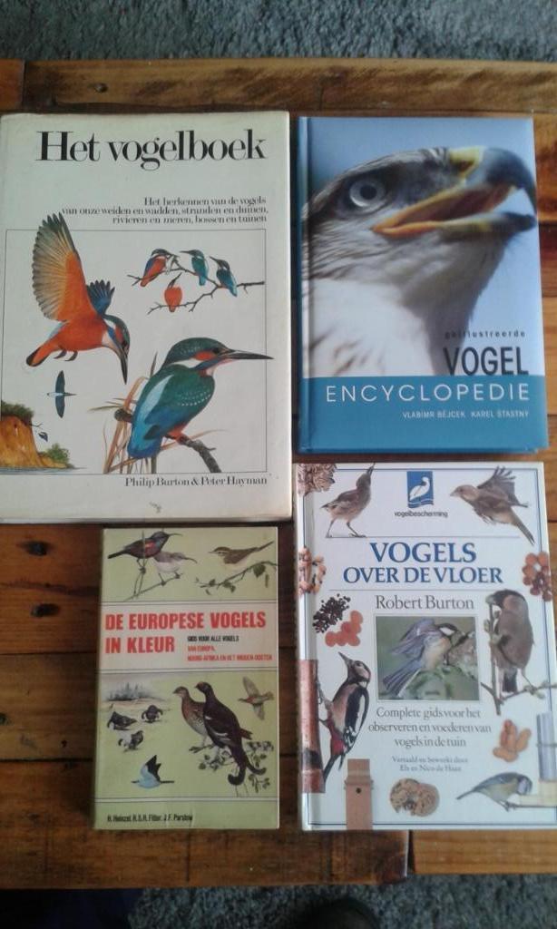 vogel boeken, Dieren en Toebehoren, Vogels | Duiven, Overige soorten, Meerdere dieren