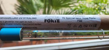 Aqua forte T5 75watt lamp beschikbaar voor biedingen