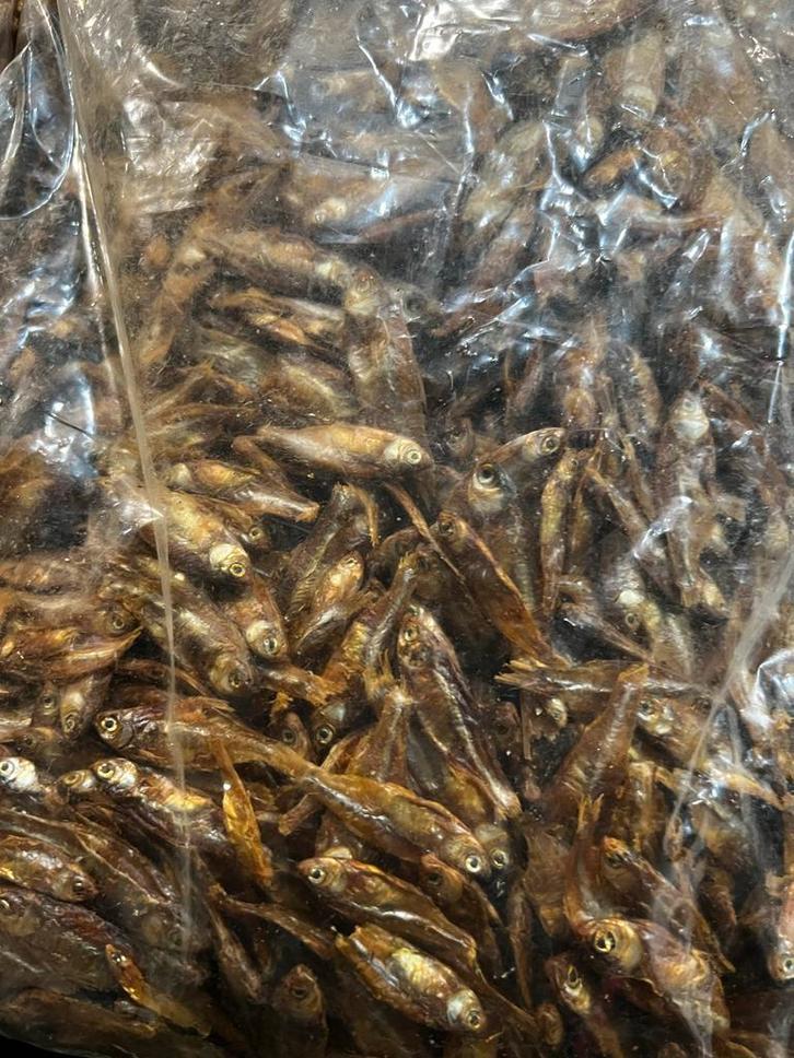 Gedroogde visjes – 2,5 liter – Natuurlijke voeding, Dieren en Toebehoren, Vissen | Aquaria en Toebehoren, Zo goed als nieuw, Overige typen