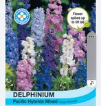 DELPHINIUM PACIFIC planten., Ophalen, Zomer, Vaste plant, Overige soorten
