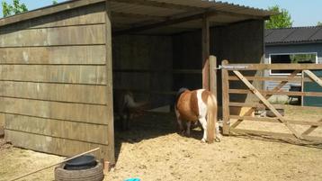 schuilstal, schuilhok, paardenstal op voorraad beschikbaar voor biedingen