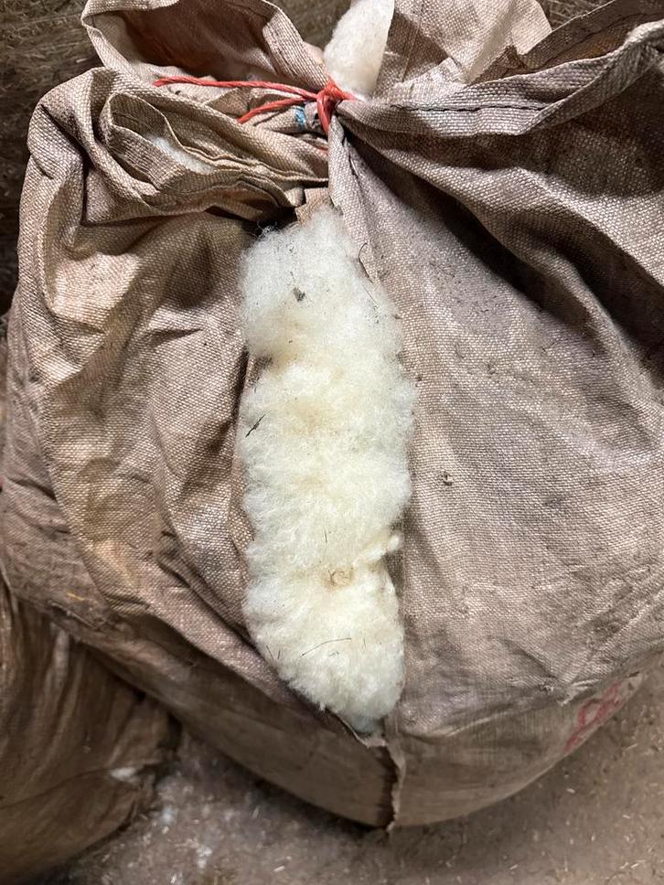 Natuurlijke Schapenwol - Ideaal voor spinnen en vilten, Zakelijke goederen, Agrarisch | Veevoer, Ophalen