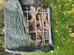 Kleine partij droog eikenhout, Minder dan 3 m³, Ophalen of Verzenden