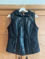 Bodywarmer van Cigno Nero maat 40., Maat 38/40 (M), Verzenden, Zwart, Cigno Nero