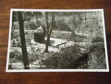Y29 - Driebergen - Huisje in het bos - Mooi/Oud beschikbaar voor biedingen